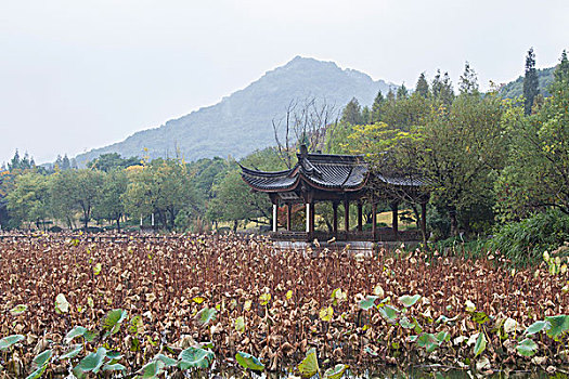 杭州湘湖秋色