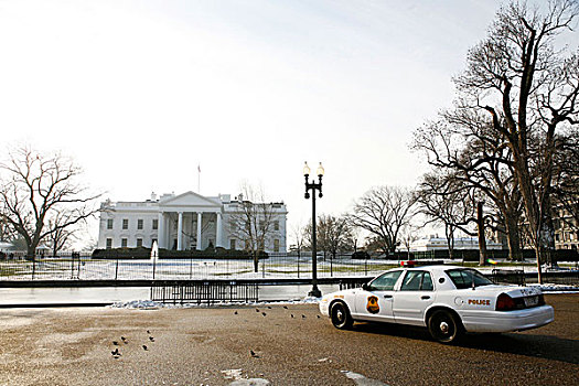 警察,户外,白色,房子,华盛顿特区,美国,北美