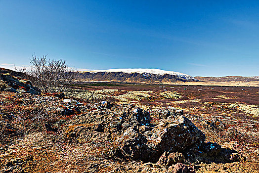 冰岛,金色,圆,国家公园,西南方
