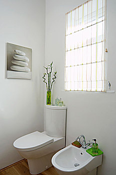 卫生间,坐便器,现代,浴室
