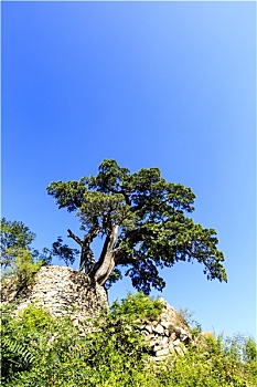 灵水村风光