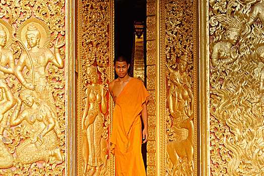 老挝,琅勃拉邦,孩子,僧侣,站立,入口,庙宇