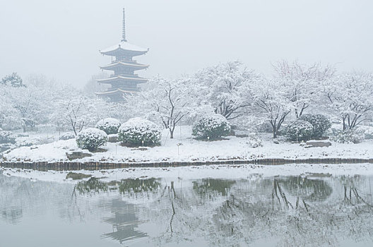 武汉冬日雪景风光