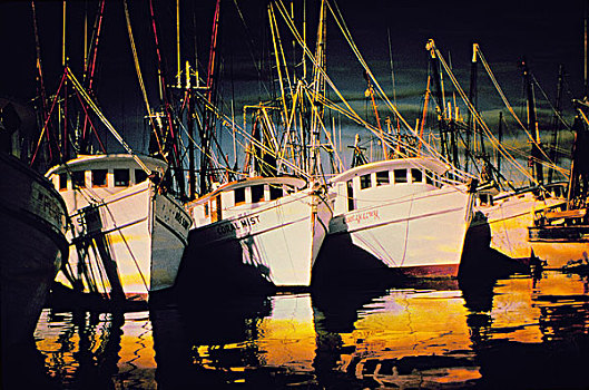 渔业,船,停靠,码头