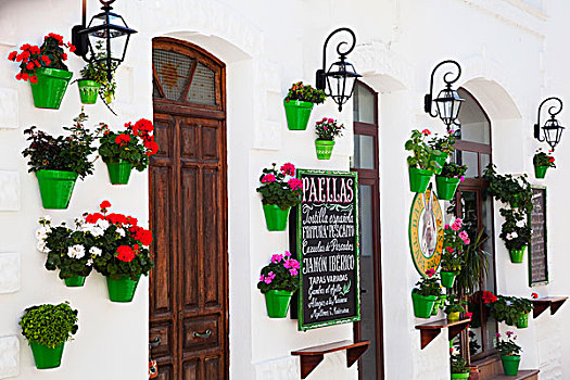 入口,餐馆,花,罐,墙壁,塔里,安达卢西亚,西班牙