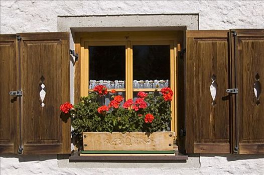 窗户,花,房子,提洛尔,奥地利