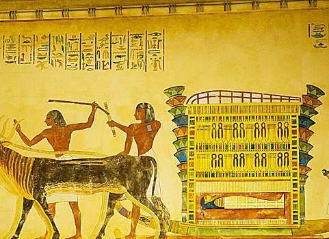 埃及,概念,绘画,墙壁