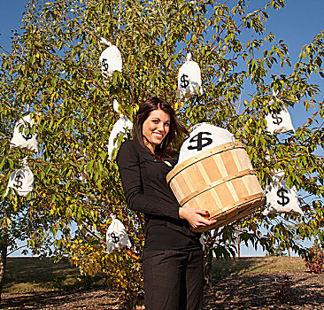 女人,收获,钱,包,摇钱树,艾伯塔省,加拿大
