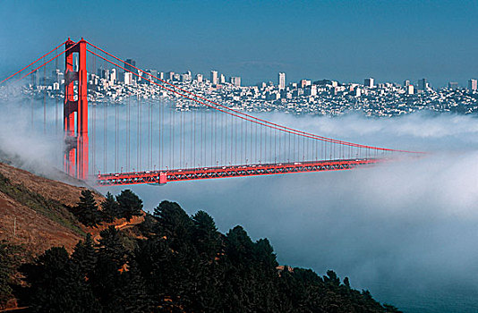 雾,旧金山湾,金门大桥,城市,天际线,背景