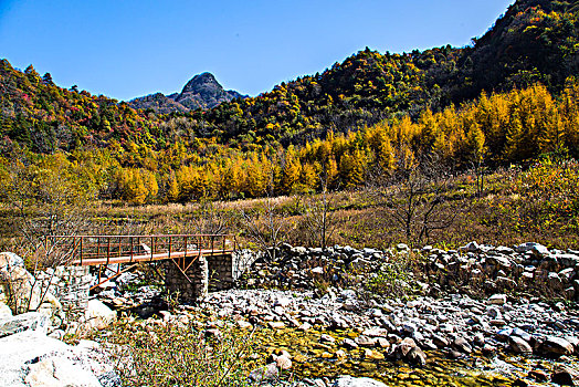 秦岭山