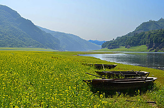 集安油菜花花海