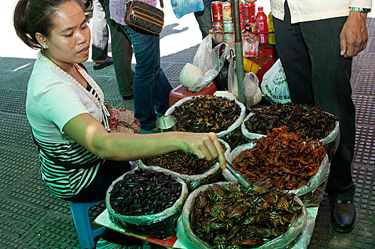 出售,货摊,烤制食品,咸味,蟑螂,餐食,金边,柬埔寨,东南亚,亚洲