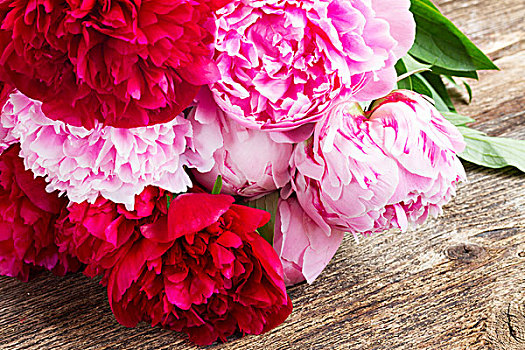 粉色,红色,花束,牡丹,木质背景