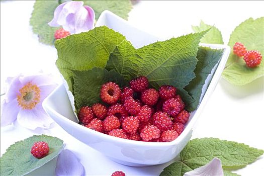 小碗,树莓,花