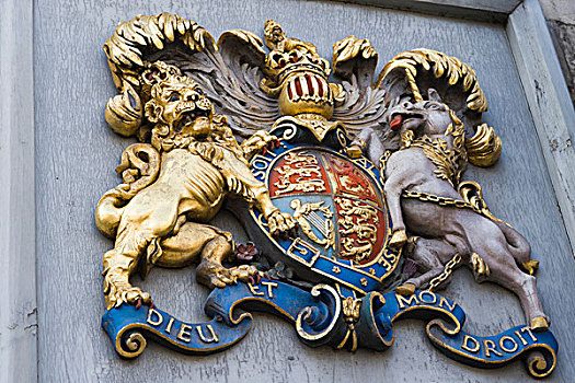 盾徽,索尔兹伯里,大教堂,威尔特,英格兰,英国,欧洲