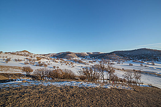 坝上雪地自然风景