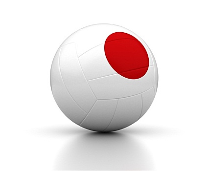 日本,排球,团队