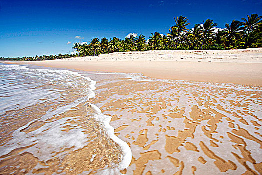 巴西,海滩