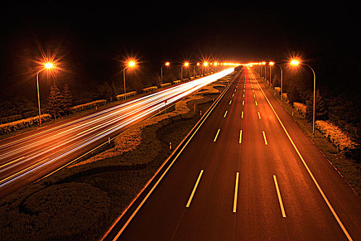 高速公路,树,绿化,夜景