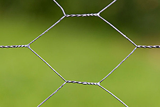 铁丝栅栏,德国,欧洲