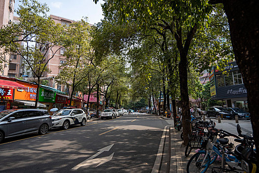 夏天阳光下羊城广州周末安静整洁的街道