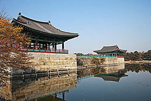 反射,建筑,水塘,雁鸭池,庆州,国家公园,韩国