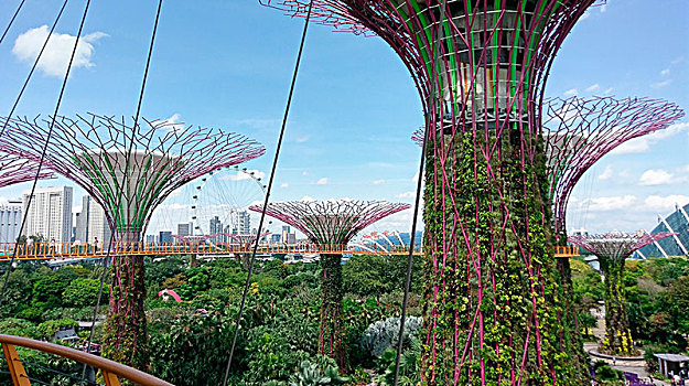 小树林,花园,湾,新加坡,正面,城市,风景,摩天轮