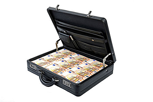 手提箱,满,钱,50欧元,象征,图像,繁荣,财富