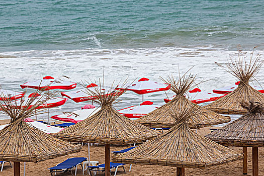 保加利亚,黑海,海岸,金沙,沙滩伞