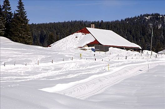 越野,积雪,农舍,瑞士