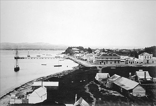湾,许多,北岛,新西兰,1875年