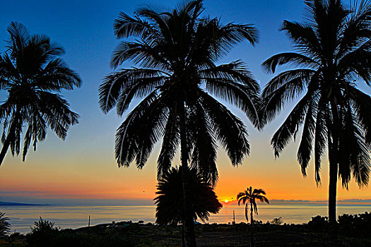 日落,柯哈拉,夏威夷大岛,夏威夷