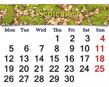 日程,九月,苔藓,叶子