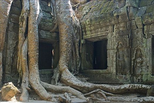 庙宇,吴哥,收获,柬埔寨