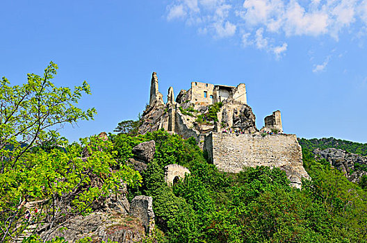 城堡遗迹,瓦绍,下奥地利州,奥地利,欧洲