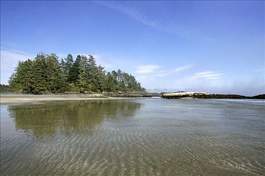 沙滩,太平洋,海岸,室内,环太平洋国家公园,靠近,温哥华岛,不列颠哥伦比亚省,加拿大
