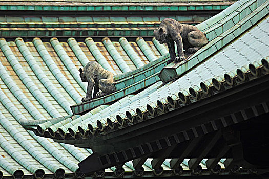 复杂,屋顶,设计,上方,监护,雕塑,庙宇,老,市区,地区,东京,日本