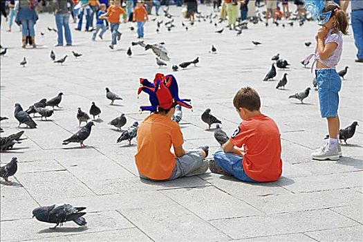 后视图,两个男孩,坐,鸽子,正面,威尼斯,威尼托,意大利
