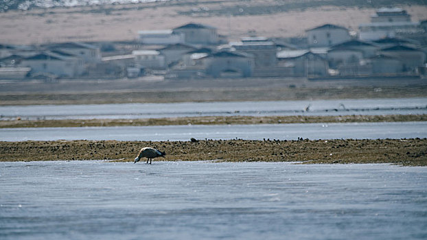 纳帕海