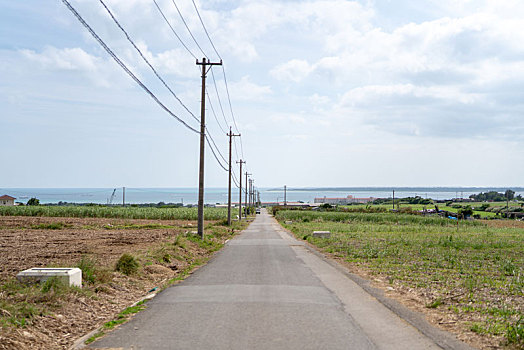 笔直,道路,石垣岛,冲绳,日本