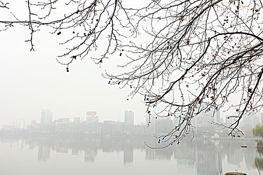 九江,甘棠湖,楼房,倒影,烟水亭,古迹,湖泊,城市