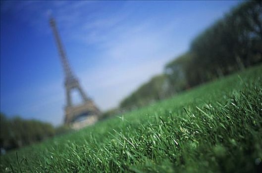 草地,正面,塔,埃菲尔铁塔,巴黎,法国