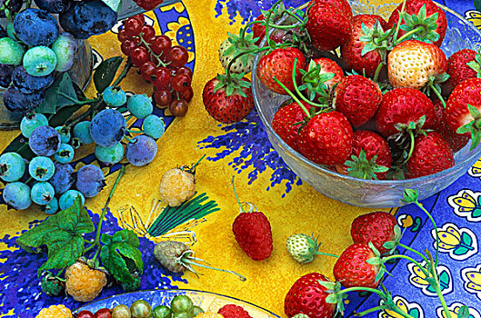 草莓,草莓属,蓝莓,越桔属,多,彩色,桌布,荷兰