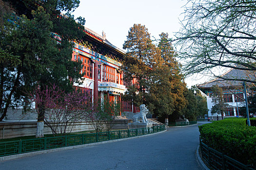 北京大学校内环境和风景