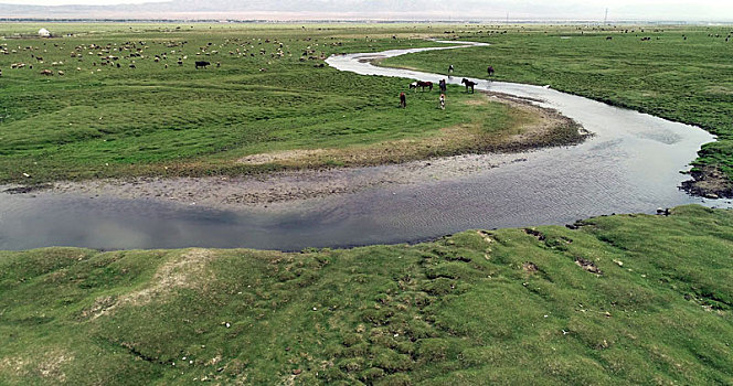 新疆巴里坤,草原上的曲流