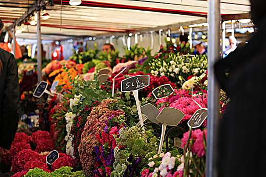 周末鲜花市场