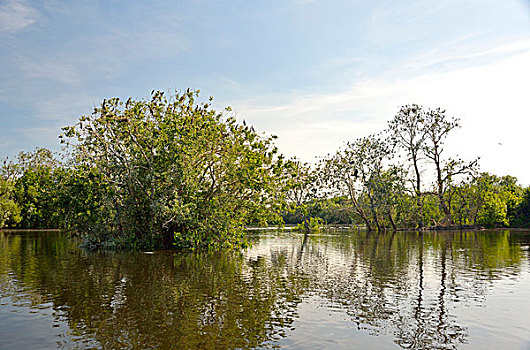 湿地,自然公园,克罗地亚,欧洲