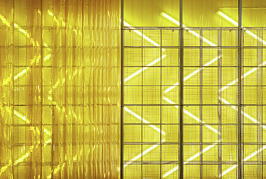 貂,商店,设计,伦敦,英国,2009年,特写,线,笼子,展示,黄色,亮光