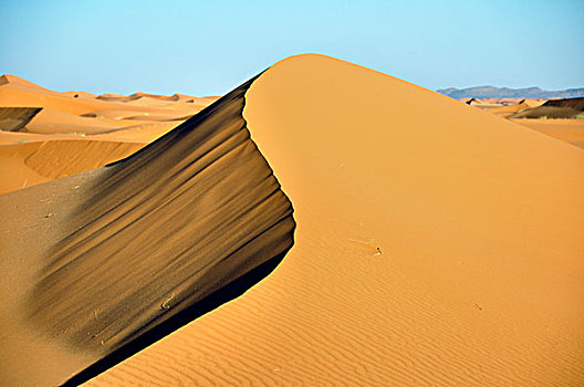 沙丘,却比沙丘,摩洛哥,非洲