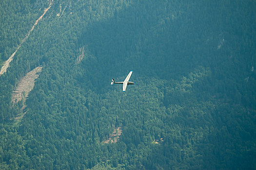 滑翔机,飞跃,树林